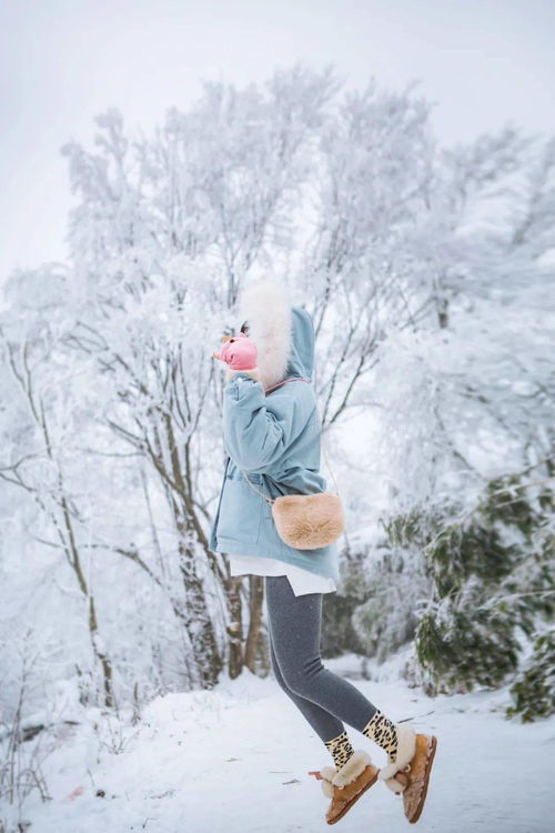 快看 绵阳这个地方又下雪了,就在