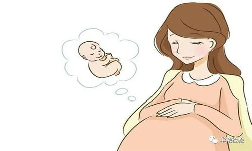 孕妇做亲子鉴定，怀孕能不能做亲子鉴定