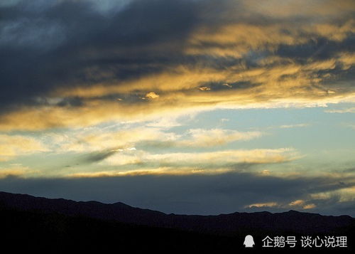 11月运势最佳的四大星座 富贵盈门,财源广进,事业爱情双丰收