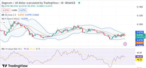 狗狗币行情怎么样_狗狗币价格今日行情走势分析