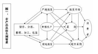 现有生鲜农产品供应链有哪些结构类型 