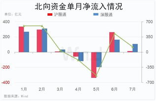 北向资金体现在股东里是什么名称？