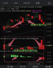 谁能讲讲股票，点是什么？非常感谢