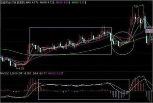 庄家想做一只股票的时候，必须要和上市公司打招呼或合作吗？