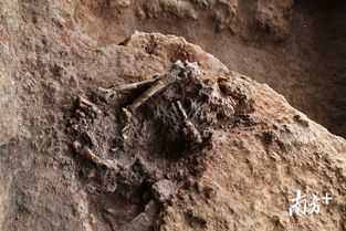 岭南最早 老广 生活是这样的 考古成果入选2018年全国六大考古新发现 