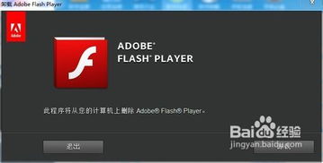 为什么电脑视频不能看了是flash的问题怎么修复