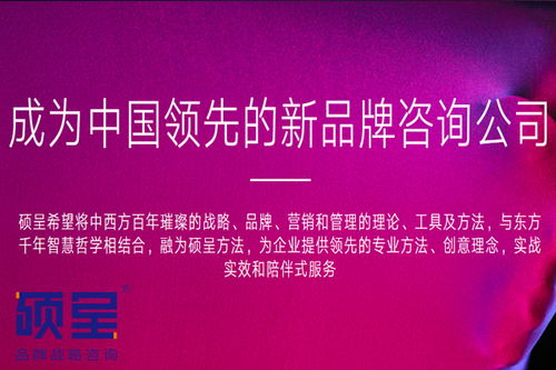 上海企业品牌营销策划公司 