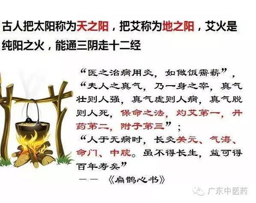 央视对于艾灸的科普片 完整版家庭 艾灸 防病治病诀窍,收着吧 