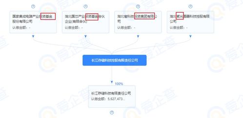 长江存储科技有限责任公司注册过商标吗？还有哪些分类可以注册？