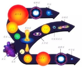 恒星的十大奇趣冷知识, 太阳表面生存着等离子体生命吗