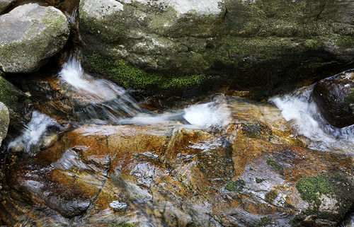 旅游热点 秦岭那个牛背梁,我送攻略你来玩