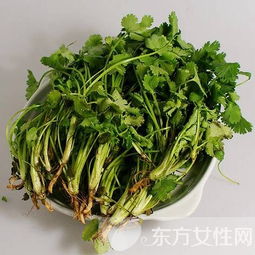 男性吃香菜杀精子吗 香菜有效于减少眼疾