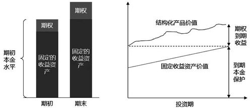 什么事商品期权和股指期权？