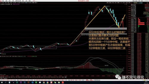 调整如期而至 后市如何应对