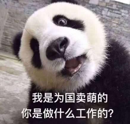大熊猫是如何成为中国国宝的