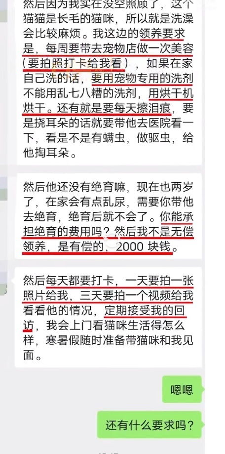 深圳女子领养猫咪被要求提供房产证信息,当事人 还得付2000元领养费