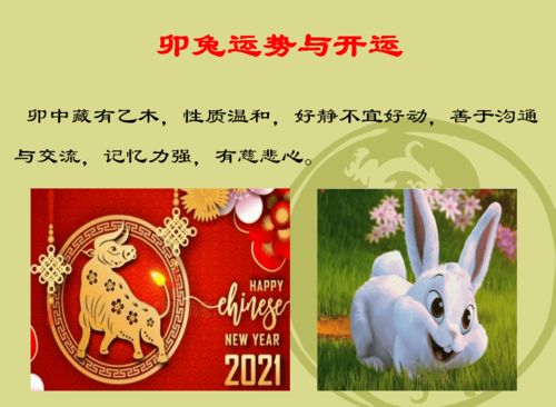 瑞兔呈祥 2021年卯兔运势与策划