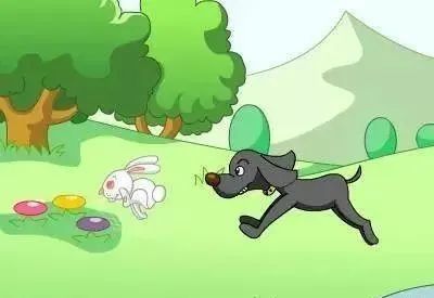 猎犬怎样追兔子
