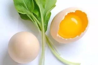 吃鸡蛋身体变化有多大 泽谷有机粮仓