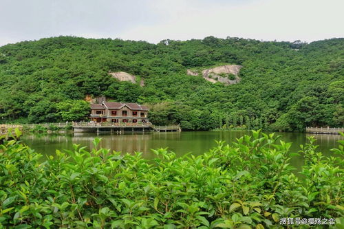 有没有AAAAAA级风景区 (中国aaaaa级景区有哪些)