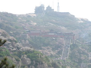 泰山旅游区有哪些不收费的停车场 (火炉山北门免费停车场在哪)