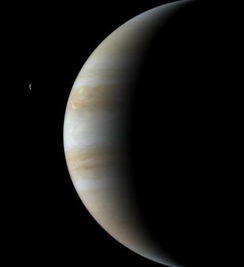 木星星座是什么